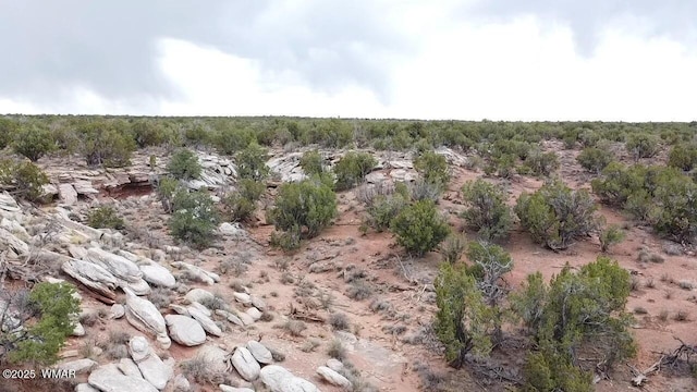 9133 Ridge View Ln, Snowflake, AZ 85937