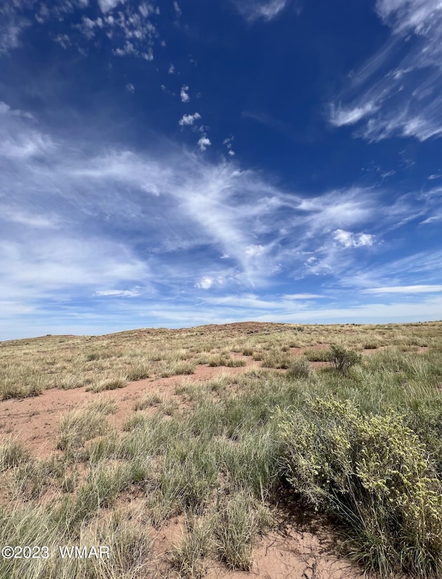 46 County Road 6019, Saint Johns AZ, 85936 land for sale