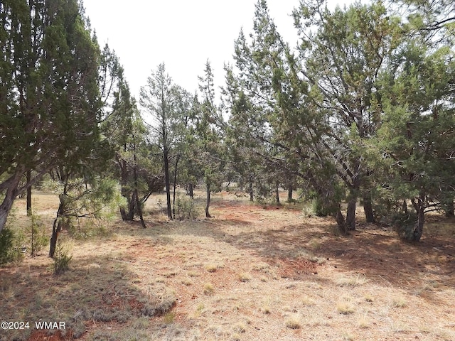 2747 Apollo Cir, Overgaard AZ, 85933 land for sale