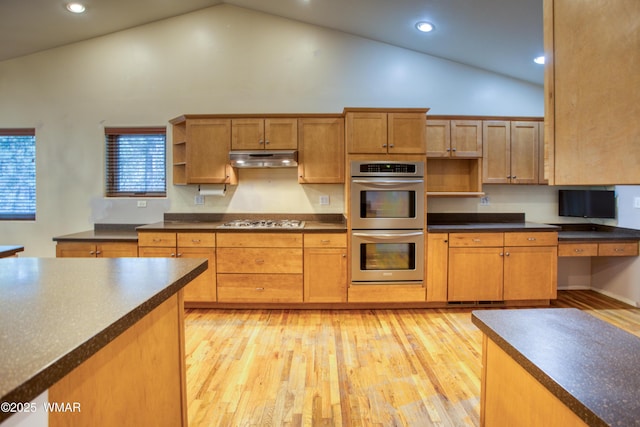 kitchen with dark countertops, appliances with stainless steel finishes, light wood-type flooring, under cabinet range hood, and open shelves