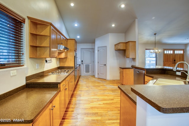 kitchen featuring appliances with stainless steel finishes, dark countertops, a sink, and under cabinet range hood