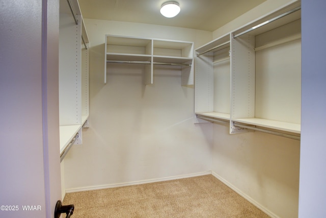 spacious closet with carpet