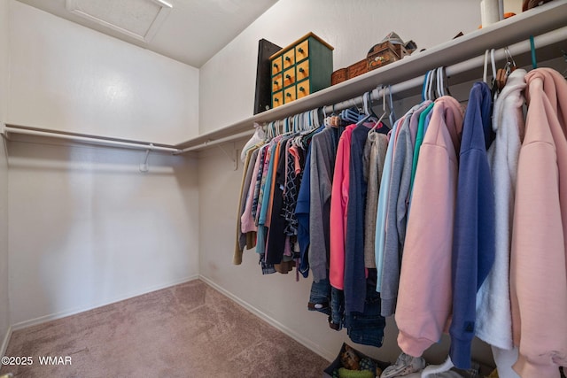 2740 E Walnut Dr, Taylor, AZ 85939 - spacious closet featuring attic access and carpet