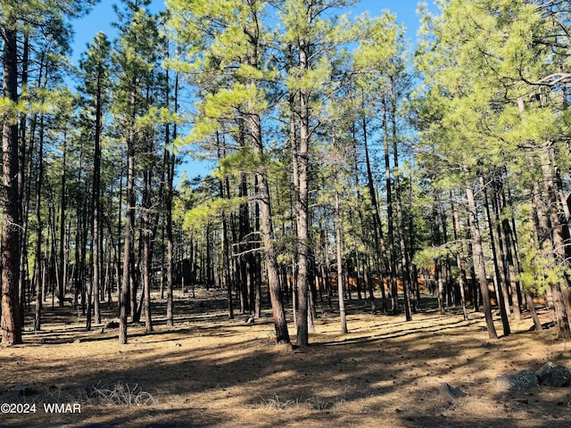 2936 Blue Lake Cir, Pinetop AZ, 85935 land for sale