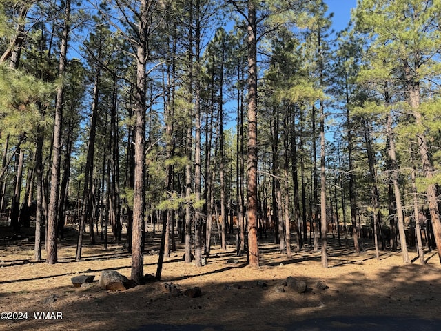 Listing photo 2 for 2936 Blue Lake Cir, Pinetop AZ 85935