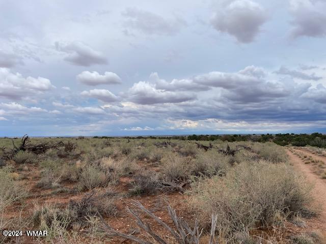 LOT7 Snowflake Rnch, Snowflake, AZ 85937 - photo 5