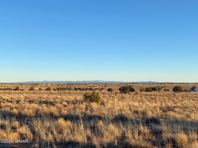 LOT7 Snowflake Rnch, Snowflake, AZ 85937 - photo 4