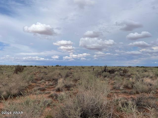 LOT7 Snowflake Rnch, Snowflake, AZ 85937 - photo 6