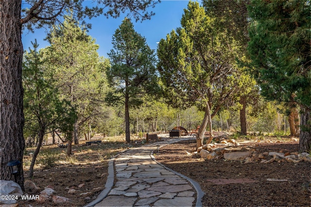 view of surrounding community