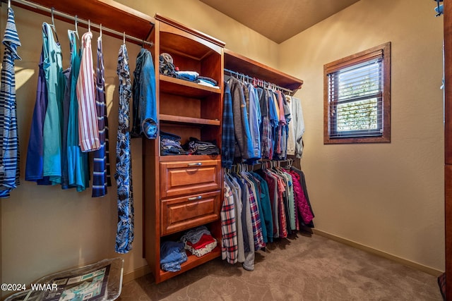 walk in closet with carpet