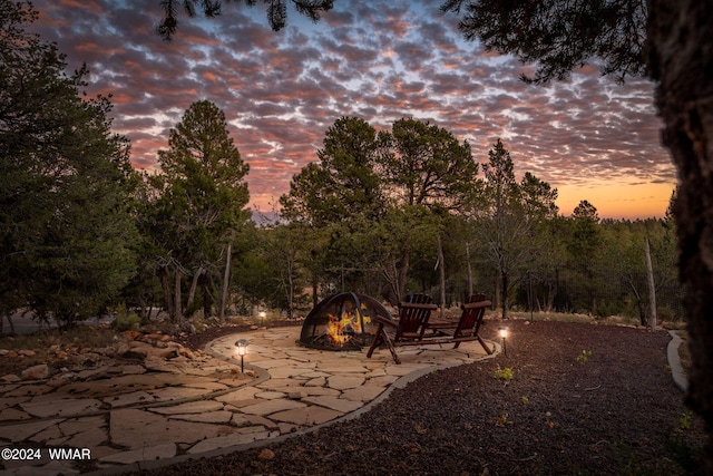 view of local wilderness with a wooded view