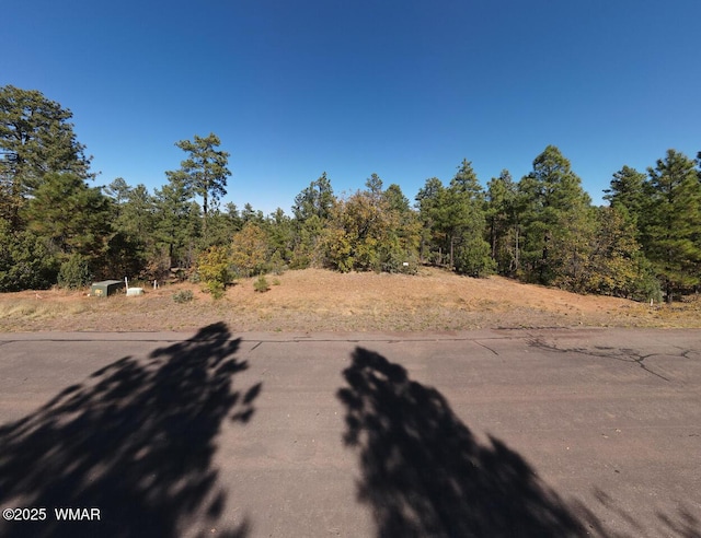 6994 Leo Ln, Lakeside, AZ 85929 - photo 7