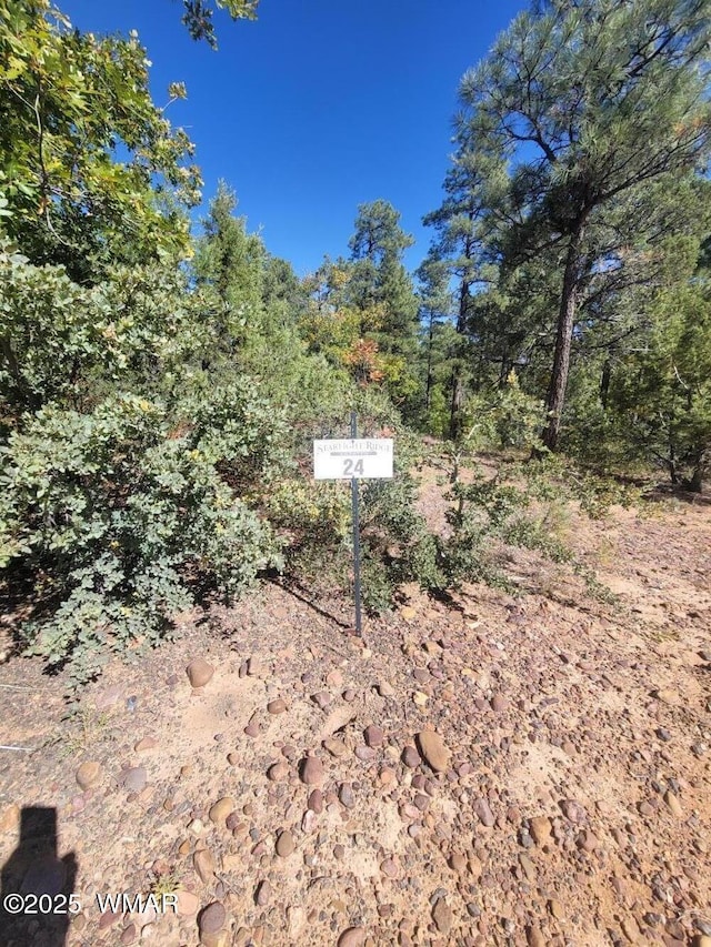 6994 Leo Ln, Lakeside, AZ 85929 - photo 6