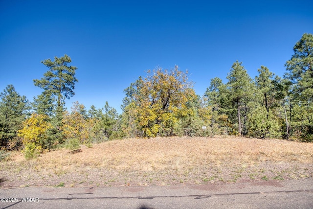 6994 Leo Ln, Lakeside, AZ 85929 - photo 8