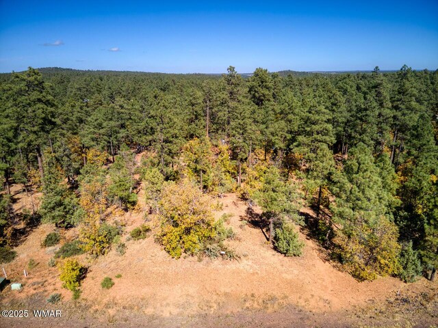 6994 Leo Ln, Lakeside, AZ 85929 - photo 4