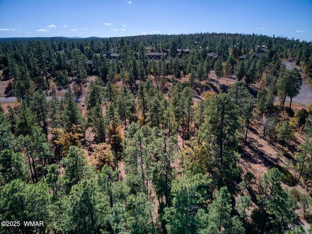 6994 Leo Ln, Lakeside, AZ 85929 - photo 1