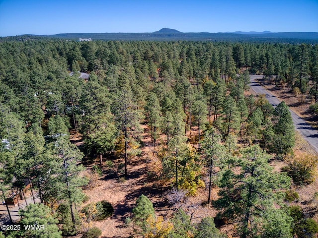 6994 Leo Ln, Lakeside, AZ 85929 - photo 2