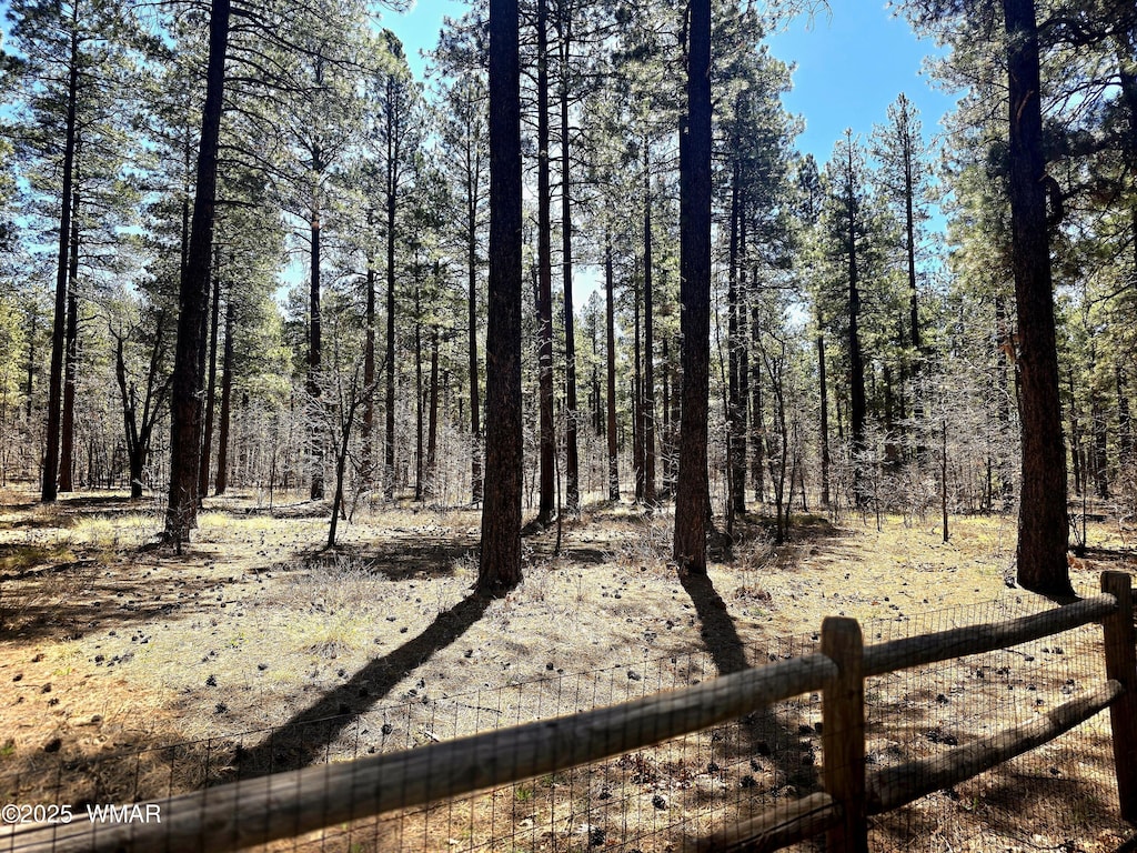 view of nature