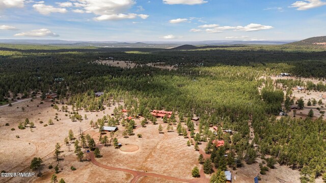 9369 Thunder Horse Rd, Lakeside, AZ 85929 - photo 14