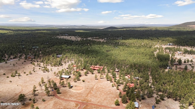9369 Thunder Horse Rd, Lakeside, AZ 85929 - photo 123
