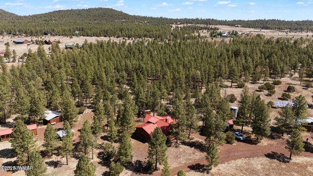 9369 Thunder Horse Rd, Lakeside, AZ 85929 - photo 121