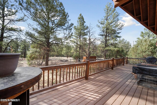 9369 Thunder Horse Rd, Lakeside, AZ 85929 - photo 107