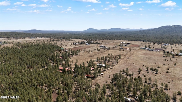 9369 Thunder Horse Rd, Lakeside, AZ 85929 - photo 117