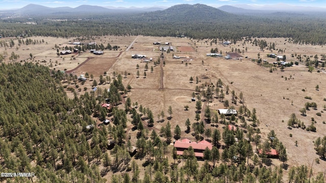 9369 Thunder Horse Rd, Lakeside, AZ 85929 - photo 116