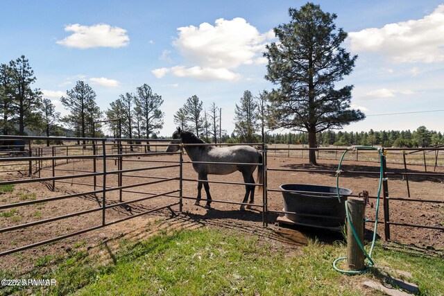 9369 Thunder Horse Rd, Lakeside, AZ 85929 - photo 90