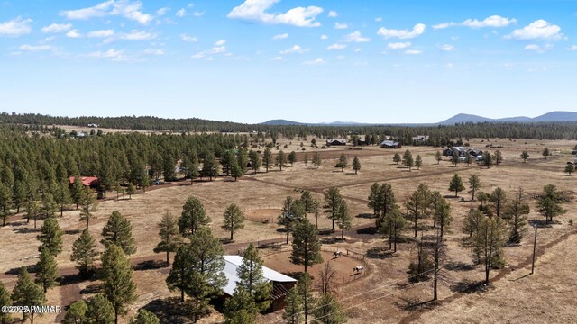 9369 Thunder Horse Rd, Lakeside, AZ 85929 - photo 119