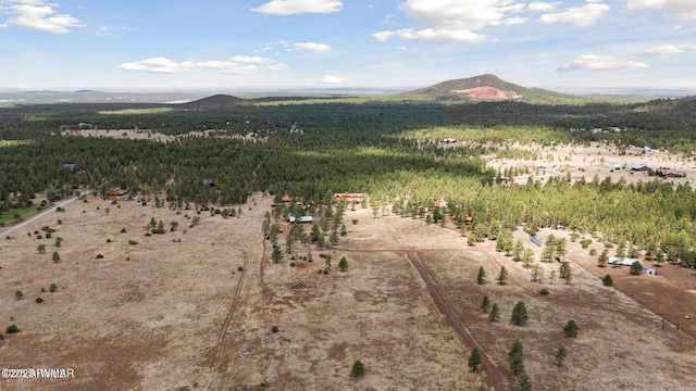 9369 Thunder Horse Rd, Lakeside, AZ 85929 - photo 124