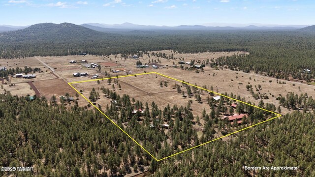 9369 Thunder Horse Rd, Lakeside, AZ 85929 - photo 70