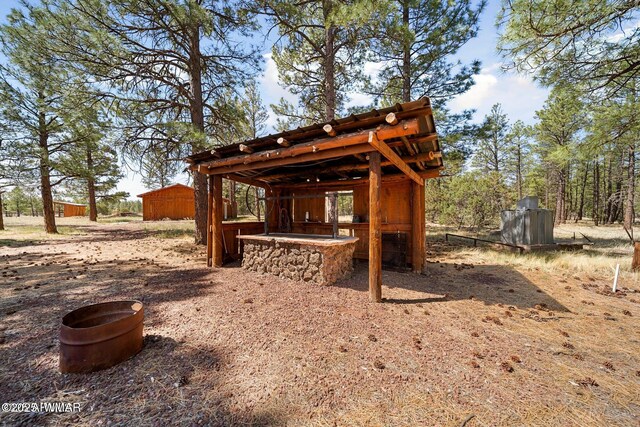 9369 Thunder Horse Rd, Lakeside, AZ 85929 - photo 73