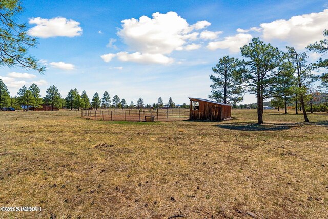 9369 Thunder Horse Rd, Lakeside, AZ 85929 - photo 89