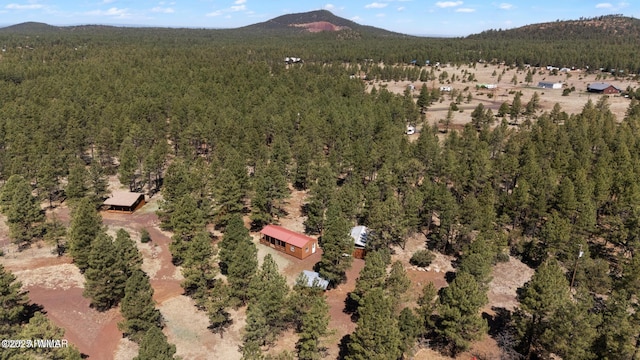 9369 Thunder Horse Rd, Lakeside, AZ 85929 - photo 120
