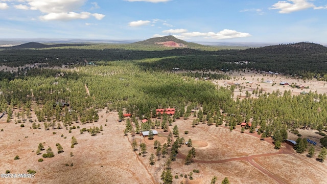 9369 Thunder Horse Rd, Lakeside, AZ 85929 - photo 143