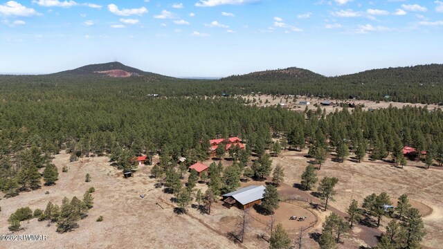 9369 Thunder Horse Rd, Lakeside, AZ 85929 - photo 118