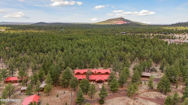 9369 Thunder Horse Rd, Lakeside, AZ 85929 - photo 128