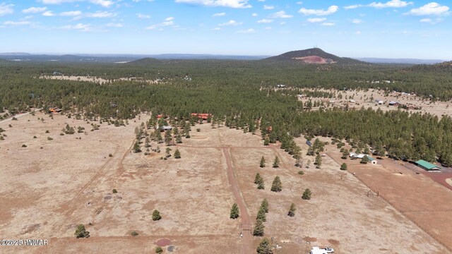 9369 Thunder Horse Rd, Lakeside, AZ 85929 - photo 122