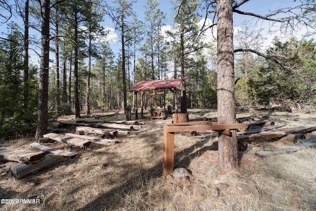 9369 Thunder Horse Rd, Lakeside, AZ 85929 - photo 129