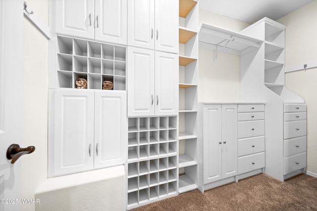 walk in closet with carpet floors