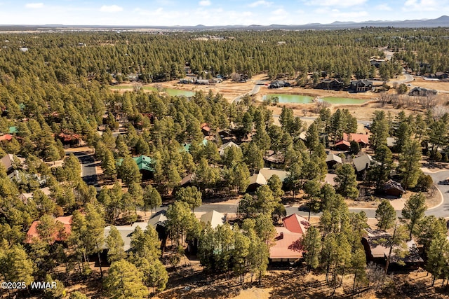 drone / aerial view featuring a forest view and a water and mountain view