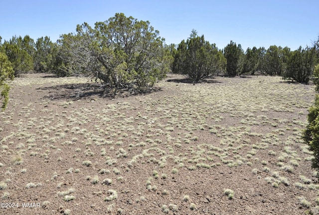 Listing photo 3 for 26D Ranch Rd, Show Low AZ 85901