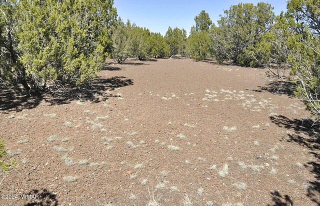 26D Ranch Rd, Show Low, AZ 85901 - photo 7