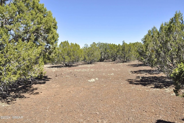 26D Ranch Rd, Show Low, AZ 85901 - photo 10