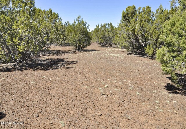 26D Ranch Rd, Show Low, AZ 85901 - photo 9