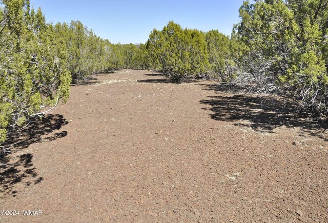26D Ranch Rd, Show Low, AZ 85901 - photo 12