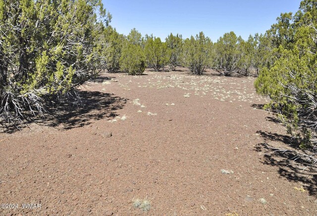 26D Ranch Rd, Show Low, AZ 85901 - photo 6