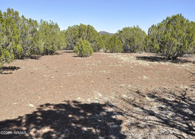 26D Ranch Rd, Show Low, AZ 85901 - photo 11