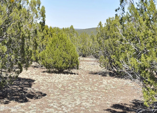 26D Ranch Rd, Show Low AZ, 85901 land for sale